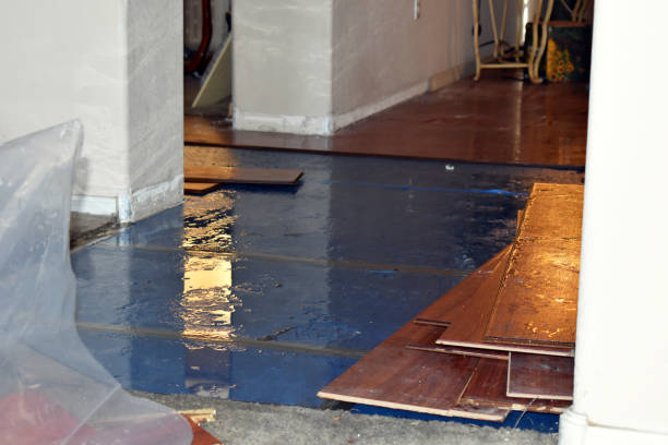 Professional Basement Flood Cleanup technician working in Slayden, TN